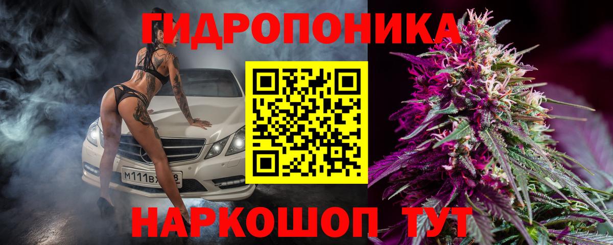 Шишки марихуана White Widow  Бошки Шишки THC 21%  Торжок  Вход с VPN 